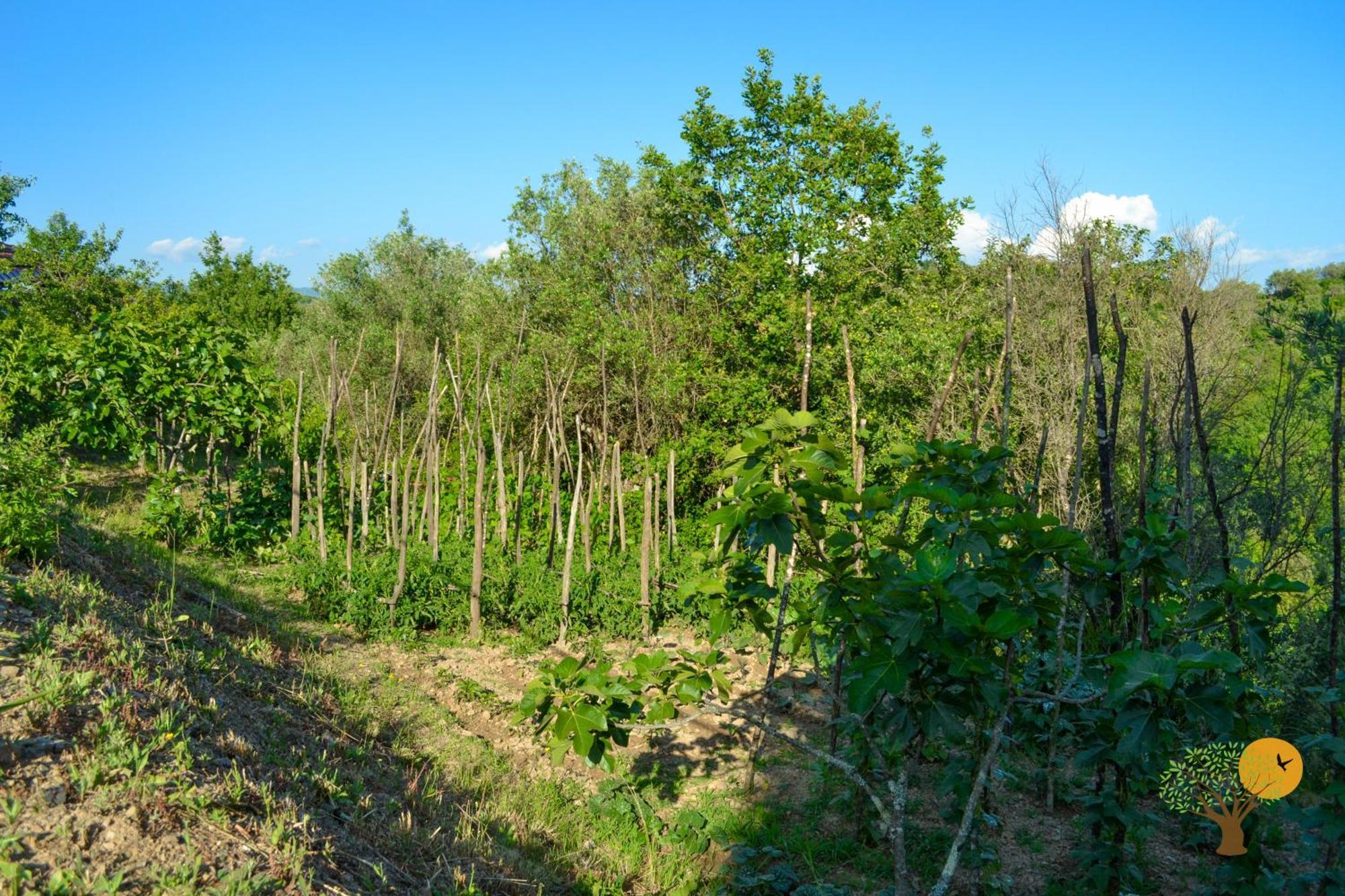 Benvenuti Nel Sud Panzió Sessa Cilento Kültér fotó